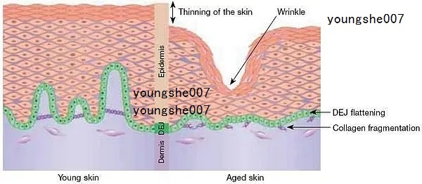 棕榈酰五肽-5 Palmitoyl Pentapeptide-5 五胜肽促进胶原蛋白美容肽